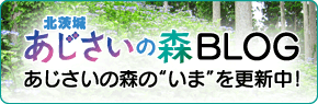 北茨城 あじさいの森 BLOG