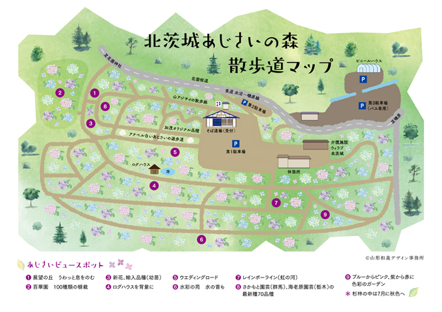 あじさいの森 散歩道マップ